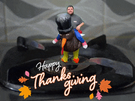 Turkey Happy Thanksgiving GIF by Sound FX