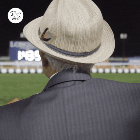 Christophe Lemaire Horses GIF by World Horse Racing