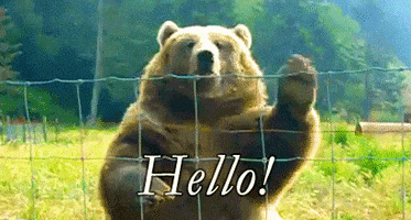 Wildlife gif. A friendly-looking brown bear emphatically waves his paw hello from behind a wire fence. Text, "Hello!"