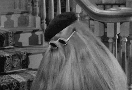 Tv Shows Vintage GIF - Find & Share on GIPHY