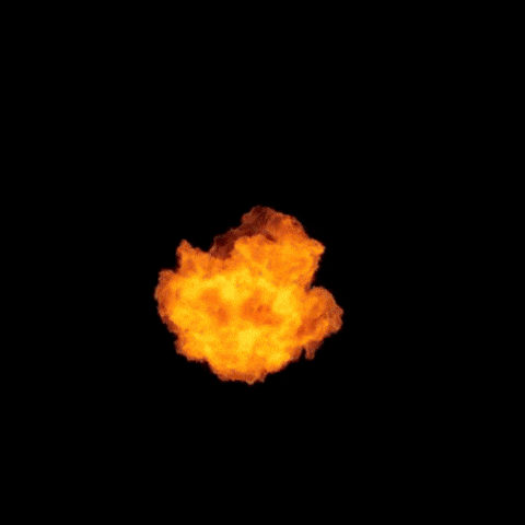 203exoticsnacks GIF
