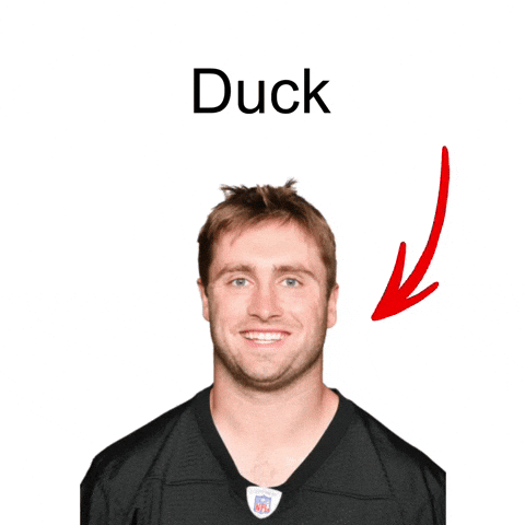 Duck Steelers GIF