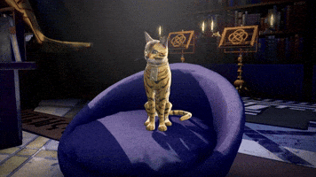Video Game What GIF by ATLUS West