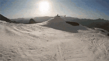 200.gif?cid=fc005b08f1c427d43d33cfd0e1c9b354aa6ffa8728efdc51&rid=200.gif&ct=g