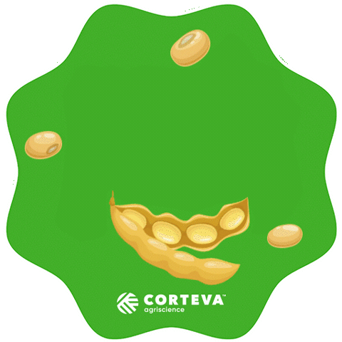 Gapper Sticker by Cortevapy