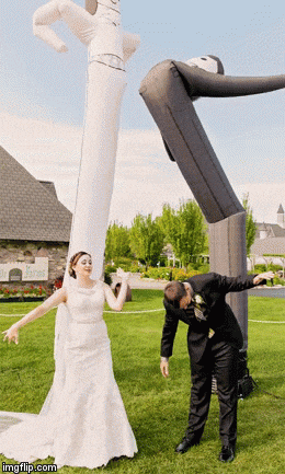 giphy.gif?cid=790b76118b97b538dbda5016829f6c69c7fed9f8bc481a01&rid=giphy.gif&ct=g
