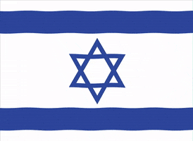 Israel Flag GIF by IsraelCC