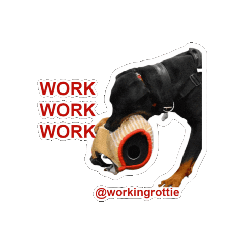Protection Rottweiler Sticker by Maximum K9