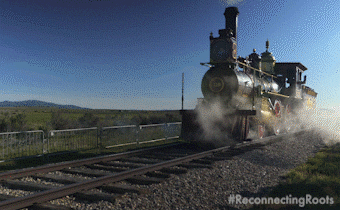 Choo Choo Train GIF by Reconnecting Roots - Find & Share on GIPHY