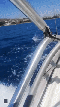 Motorboats Help Cypriot Kayaker Go Whitewater Rafting at Sea