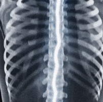 Tailbone GIF
