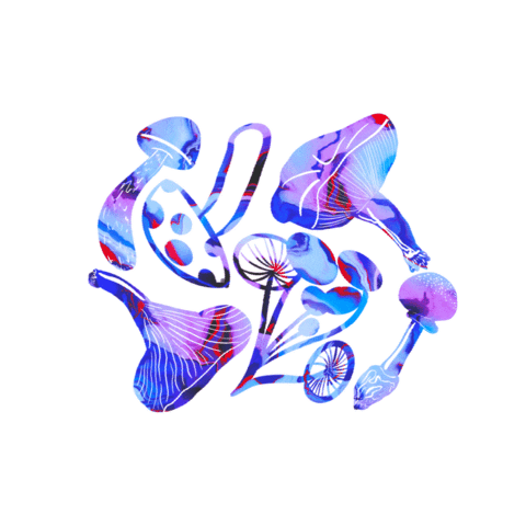 0NETWENTYSIX Sticker