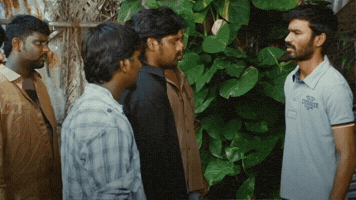 Templatemamemp4 GIF