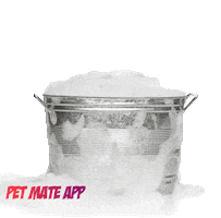 petmate Sticker