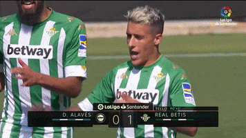 Real Betis Equipo GIF by Real Betis Balompié