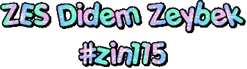 Zumba Zumbafitness Sticker by Didem Zeybek