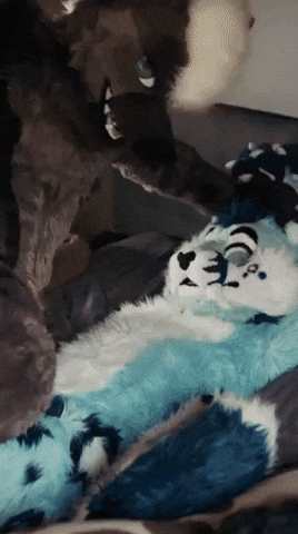 Furry GIF