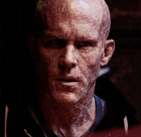 200.gif?cid=f0bdee70c1rtrg7jk62qv2fqagylg5yuoz3u9sgrvarnlmfi&rid=200.gif&ct=g
