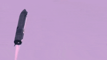 Elon GIF