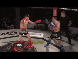 Knock Out Ko GIF by Gym 01 Portsmouth