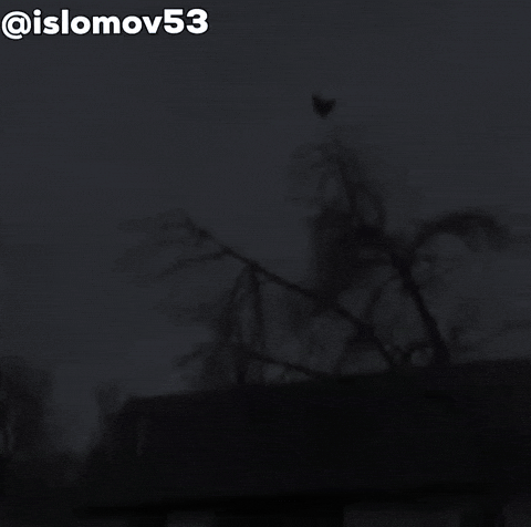 Islomov GIF