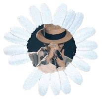 G-Dragon Daisy Sticker
