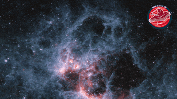 James Webb Stars GIF by ESA Webb Space Telescope