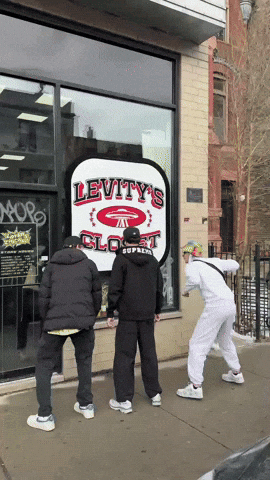 Levity Hippieflip GIF