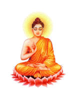 university practice GIF