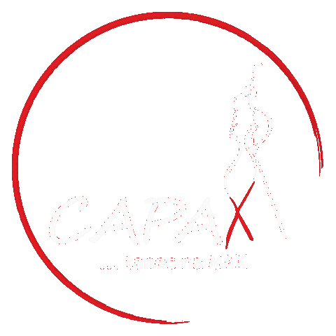 Dance Cat Sticker by CAPAX... tanec na MAX