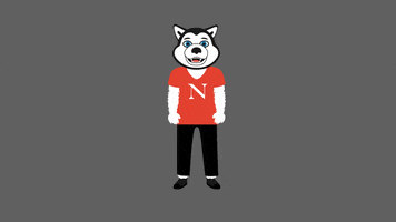 Nuexperience GIF by Northeastern University