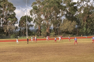 Ocsc GIF by Oldcamberwellsc