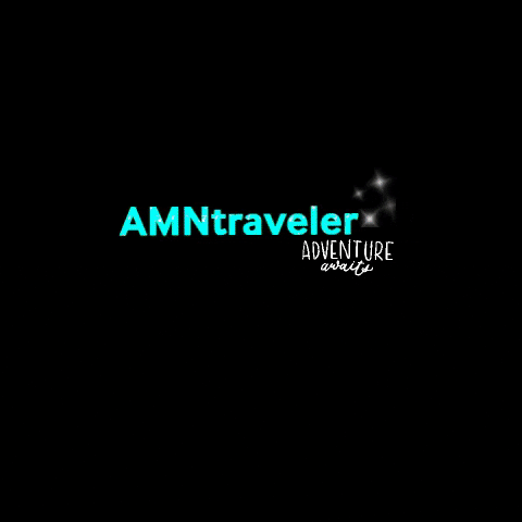 amntraveler nurse traveler amn travelnursing GIF
