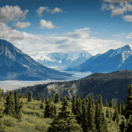 Vertical GIF