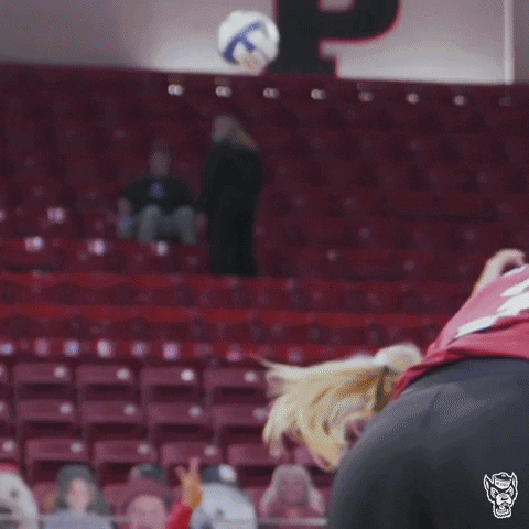 Wolfpack Packvball GIF by NC State Athletics