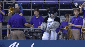 Godawgs Dancing GIF by Pac-12 Network