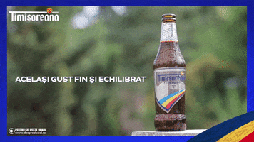 BereaTimisoreana GIF