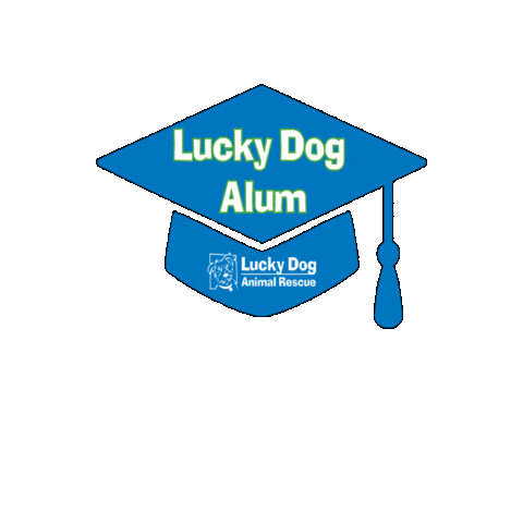 Ldar Sticker by Lucky Dog Animal Rescue