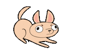 Animation Notify Sticker