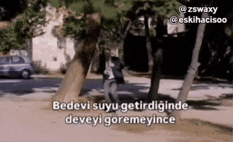 Yks Deve GIF
