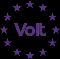 VoltEuropa volt votevolt volt europa volt wheel GIF