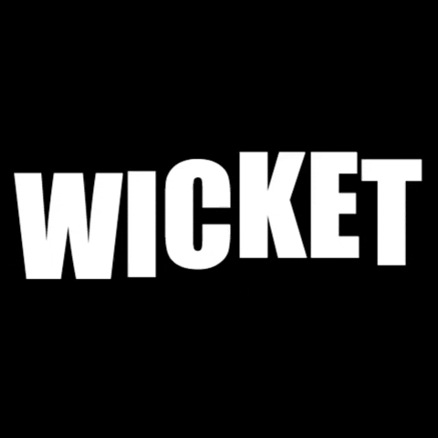 cricket ipl GIF