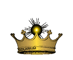 Kingsun Sticker