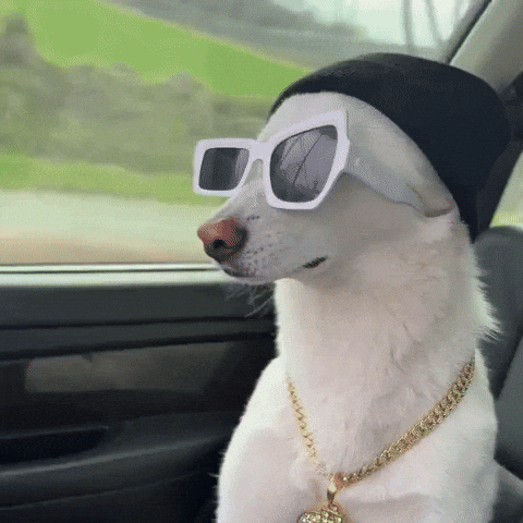 Jindo GIF