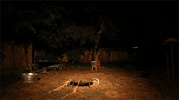 flashlight boogeyman GIF by Digg