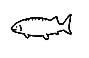 Art Illustration Sticker by Petit Pied