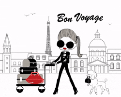 Bonvoyage Bon Voyage Travel Trip Triptoparis Paris Loveparis Lucieinparis GIF by Lucie + Pompette