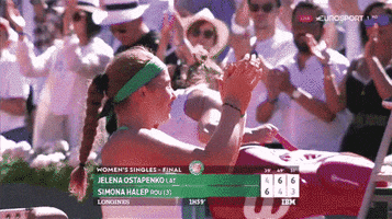 wta thanks wave clap clapping GIF