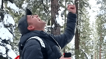 Happy Victory GIF by Mark Rober