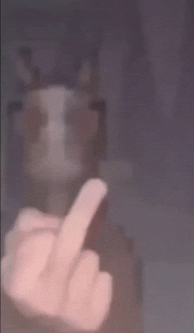 Horse Middle Finger GIF